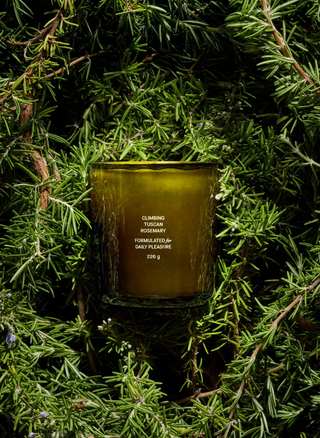Flamingo Estate Candles